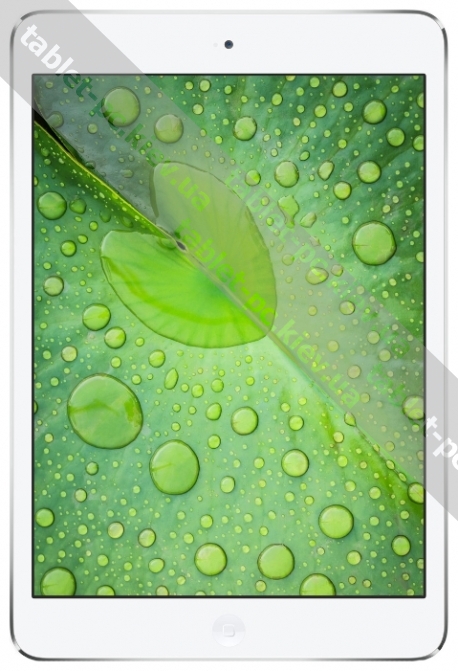 Apple () iPad mini 2 16Gb Wi-Fi + Cellular