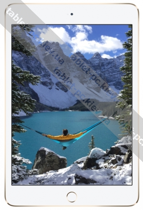 Apple () iPad mini 4 64Gb Wi-Fi + Cellular