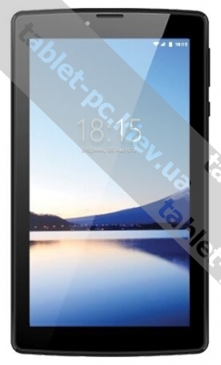 BQ 7036L Hornet (2018)