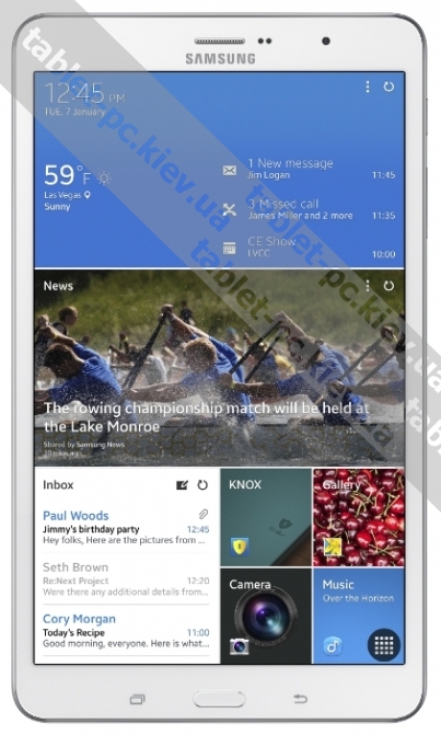 Samsung () Galaxy Tab Pro 8.4 SM-T325 16Gb