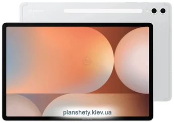 Samsung () Galaxy Tab S10+ SM-X820 12/256GB