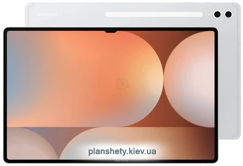 Samsung () Galaxy Tab S10 Ultra SM-X920 12/256GB