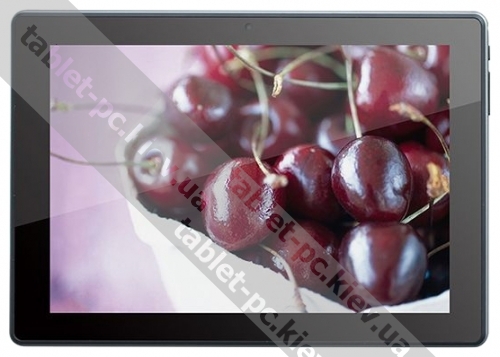 Viewsonic () ViewPad 100N