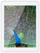 Ainol () Novo 8 Discover