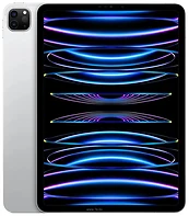 Apple () iPad Pro 11 (2022) 2TB Wi-Fi