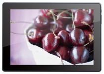 Viewsonic () ViewPad 100N