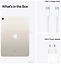Apple () iPad Air 2022 5G 256GB