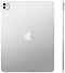 Apple () iPad Pro 13 (2024) 1024GB