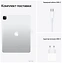 Apple () iPad Pro M1 12.9 (2021) 256Gb WiFi + Cellular