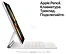 Apple () iPad Pro M1 11 (2021) 512Gb Wi-Fi