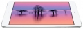 Apple () iPad mini 2 64Gb Wi-Fi + Cellular