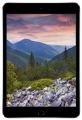 Apple () iPad mini 3 64Gb Wi-Fi