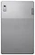 Lenovo () Tab M9 TB310XU LTE 4/64GB