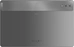 Lenovo () Tab Extreme TB570FU, Storm Grey, 12GB RAM, 256GB
