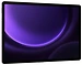 Samsung () Galaxy Tab S9 FE+ LTE BSM-X616B 8/128GB