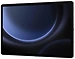 Samsung () Galaxy Tab S9 FE+ LTE BSM-X616B 8/128GB