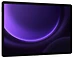 Samsung () Galaxy Tab S9 FE+ LTE BSM-X616B 12/256GB