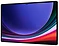 Samsung () Galaxy Tab S9 Ultra 5G SM-X916 16/1024GB