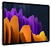 Samsung () Galaxy Tab S7+ 12.4 SM-T970 128Gb