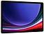 Samsung () Galaxy Tab S9 LTE SM-X716B 12/256GB