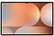 Samsung () Galaxy Tab S10 Ultra SM-X920 12/256GB